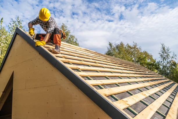 Best Metal Roofing Contractor  in Cataula, GA